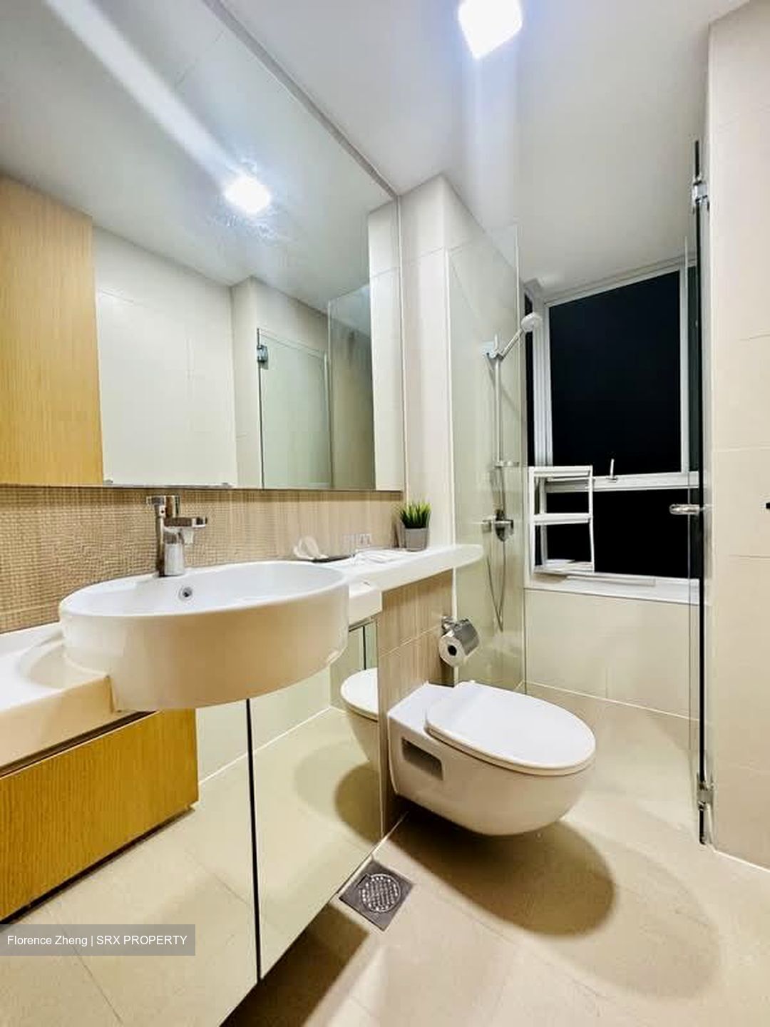 The Regency At Tiong Bahru (D3), Condominium #583640511